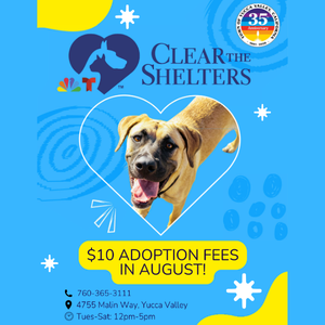 Yucca Valley Animal Shelter