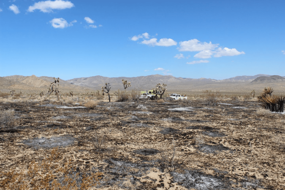 Geology Tour in Joshua Tree National Park 100% contained - Vimarsana News