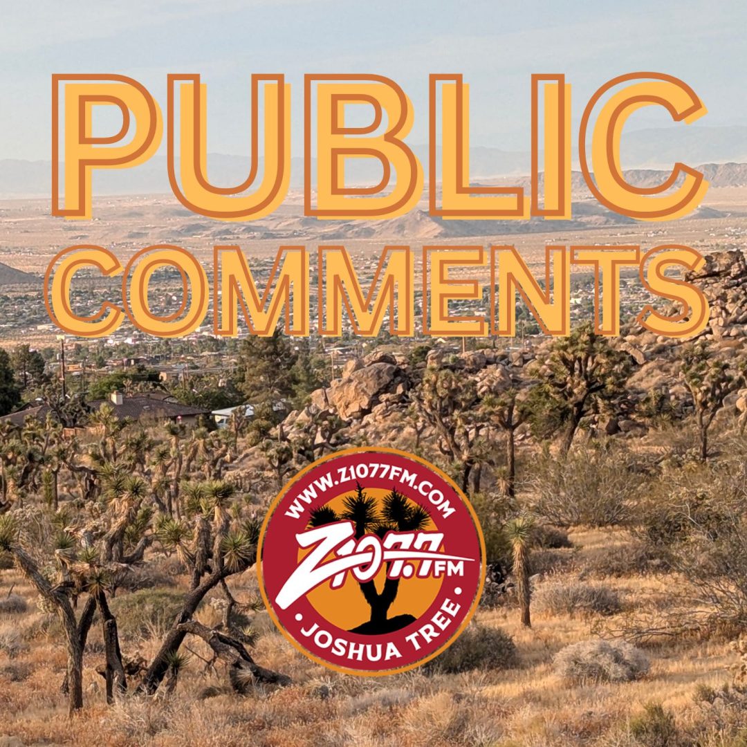 Public Comments